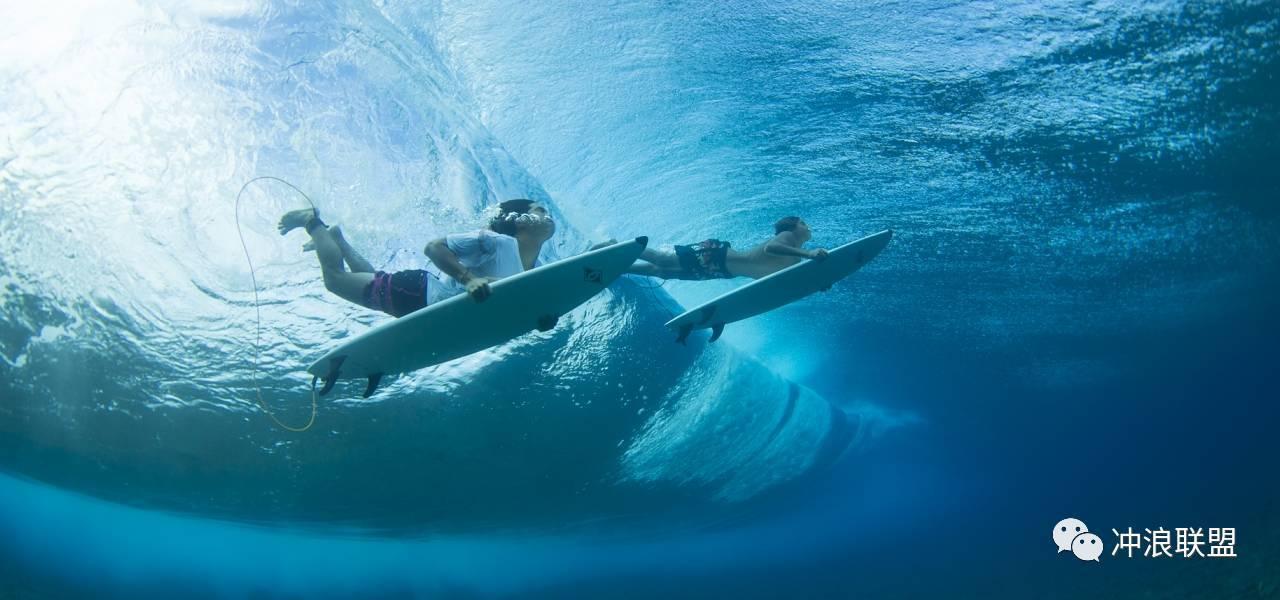 虫虫助手下载
